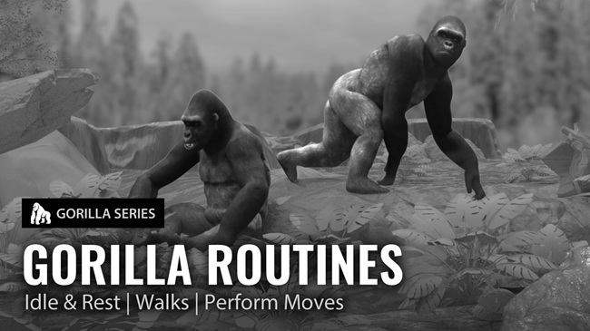 GORILLA SERIES- Gorilla Routines